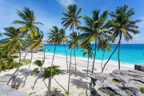 House, 1 Bedroom, Patio, Ocean View | Beach