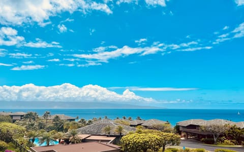 Ocean view