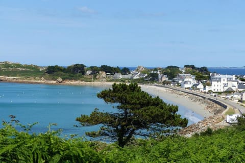 View from Holiday Home [summer]