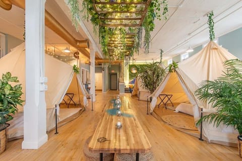 Glamping Loft 5 tents for sleeping