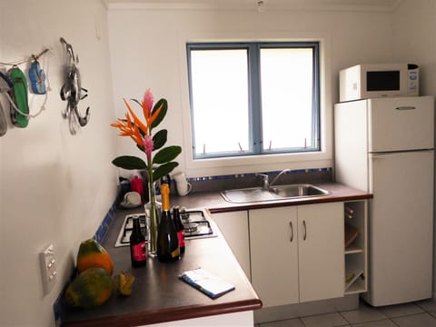 kitchen has everything you need. cook some fresh tuna on the BBQ