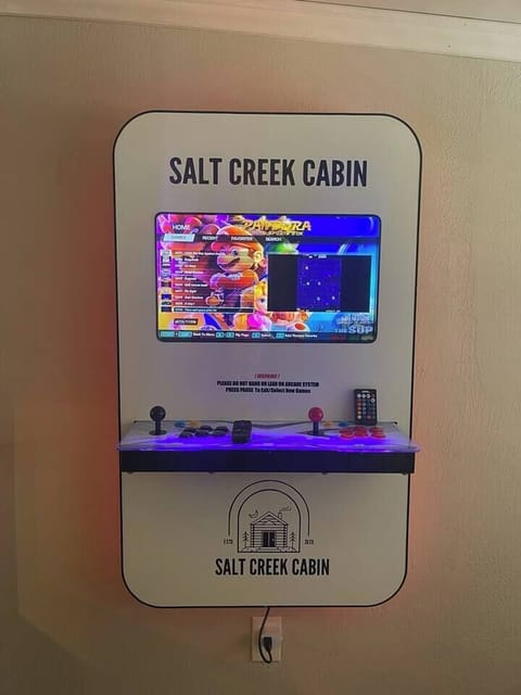 wall mounted video game