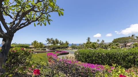 View of long driveway from house to street with tropical landscape