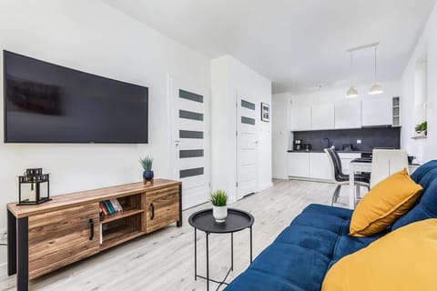 A spacious living room with a sofa, a TV on a minimalist stand, and decorative pillows for added color.