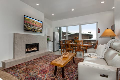 Living Room, Dining Area and Kitchenette