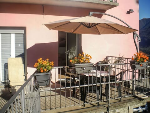 Flower, Plant, Property, Building, Furniture, Window, Umbrella, Flowerpot, Shade, Orange