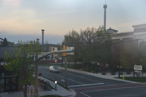 View from Window