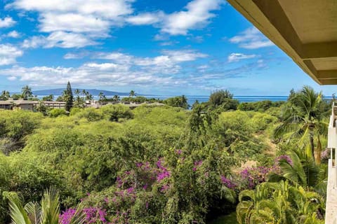 Lanai views of beautiful Maui sunsets. You can see humpbacks splash from home. 