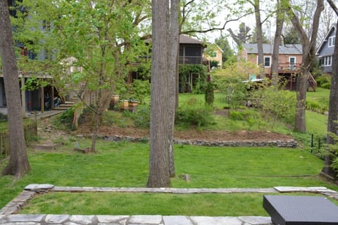 Yard with Patio