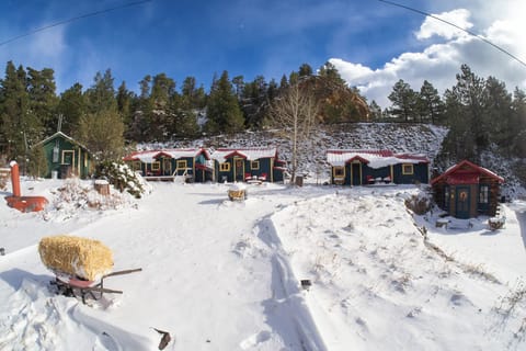 Settle into one of our four snow-dusted cabins for a cozy winter stay @raymondstorecabins
