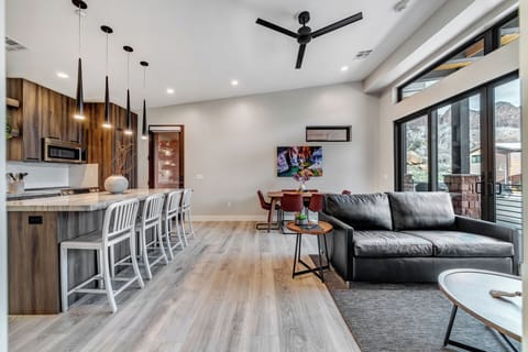Living room and Kitchen