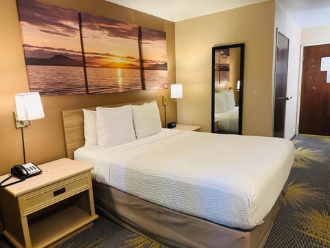 Room, 1 Queen Bed, Accessible, Non Smoking (Mobility, Tub w/Grab Bars) | Desk, iron/ironing board, rollaway beds, free WiFi