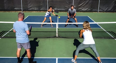 Brand new Pickleball courts behind the house! Paddles are in the garage!