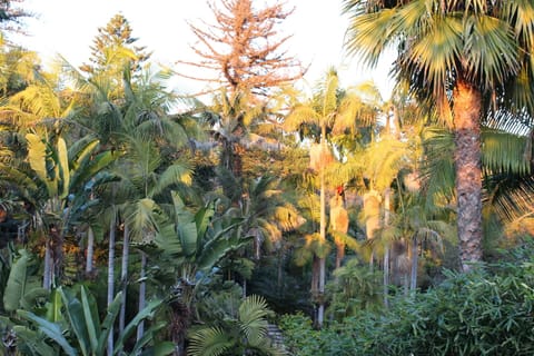 Incredible tropical canyon views!