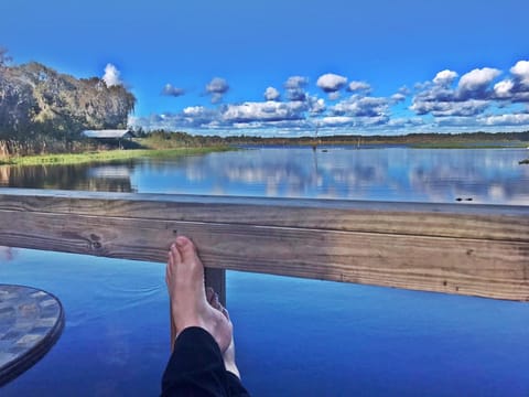 Come to the Cove! Relax and play!