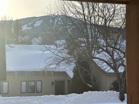 Mountain retreat with snowy views