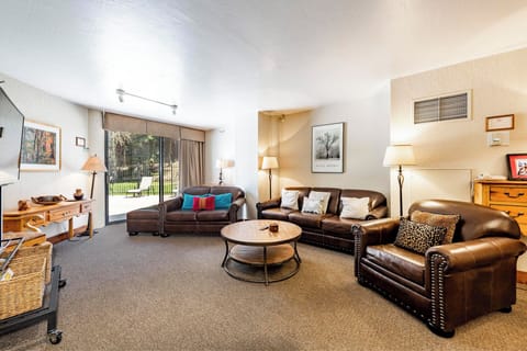 Living Area with Sleeper Sofa