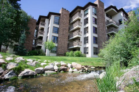 Burgess Creek & the Condo in the Summer