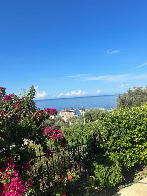Basic Apartment, 1 Bedroom, Ground Floor | Beach/ocean view