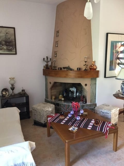 living room with fire place