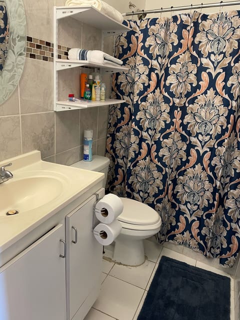 Full bathroom sink, shower. Toilet 