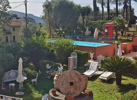 Garden, Outdoor, Pool