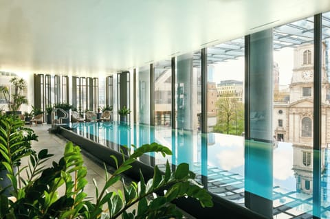 Indoor pool, sun loungers