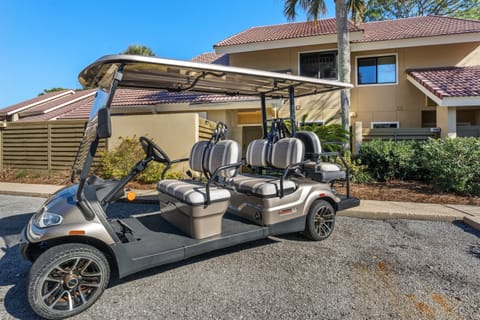 6 seater cart