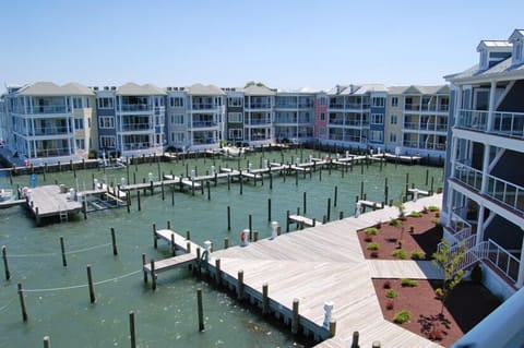 Stylish comfort, sunset views, and pool with this nicely decorated condo