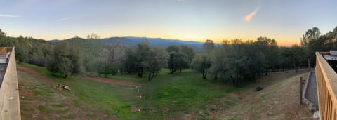 171A6BF6 D971 4E04 B550 BDC52CD135A7 1 102 o