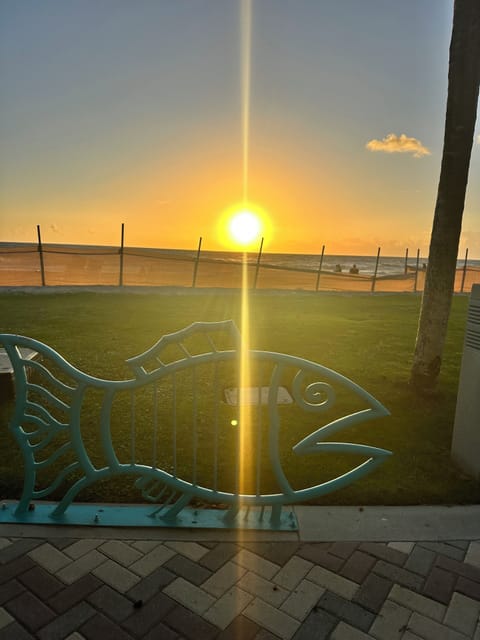 Your morning view is waiting. ☀️