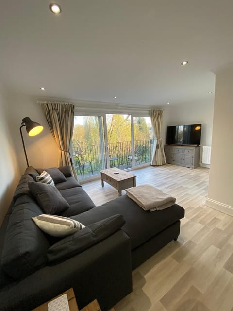 Apartment, 2 Bedrooms, Balcony, River View | Living room
