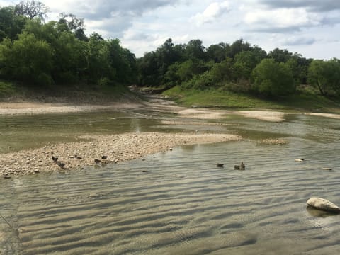 Come and enjoy the peace and tranquility of the Medina River.  