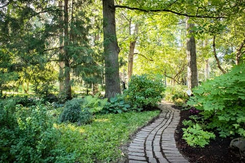 Charming Outdoor Path