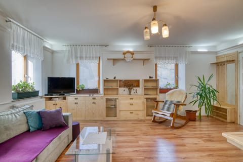 Family House, 2 Bedrooms, Fireplace, Mountainside (Farmhouse Blackberry Pool&Wellness) | Living area | Flat-screen TV, fireplace, stereo
