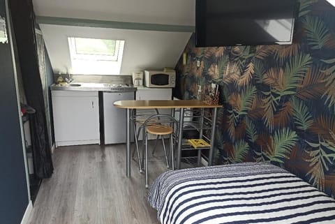 Classic Studio | Private kitchen | Fridge, microwave, stovetop, toaster