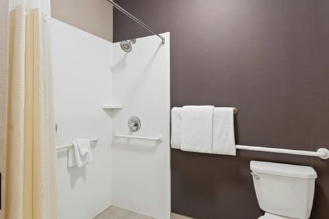 Combined shower/tub, free toiletries, hair dryer, towels