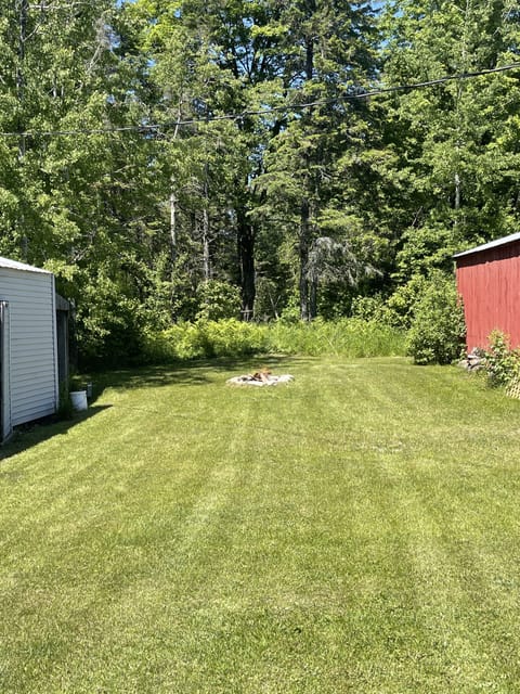 Fire pit and backyard
