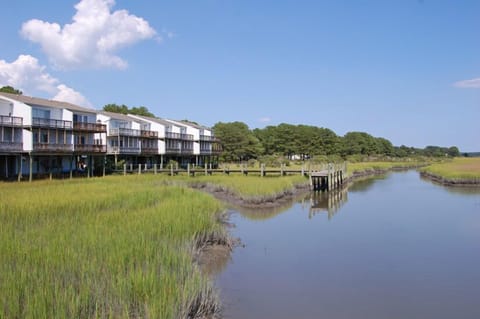 Townhome with stunning views of Assateague and Lighthouse.