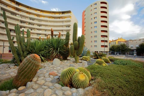 Landscaped area features various cacti and plants in front of the multi-storey building