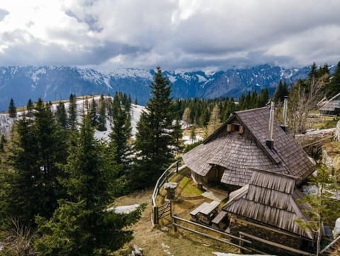Chalet Irenca on Velika planina