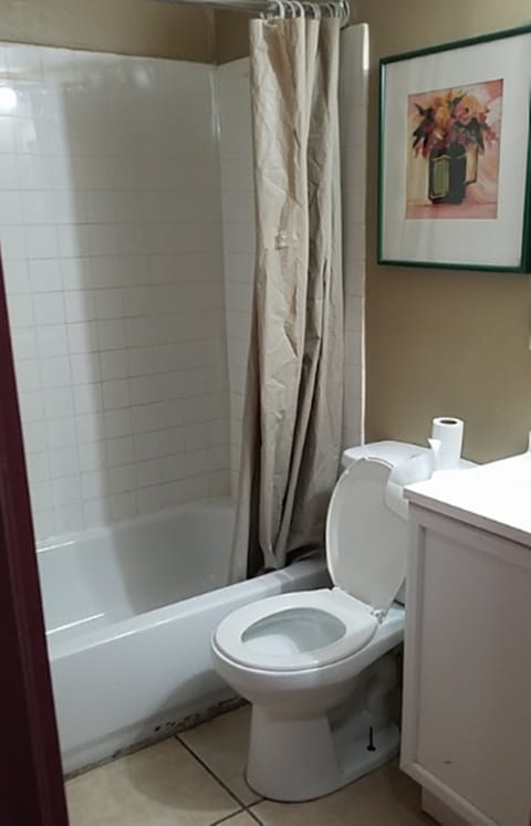 Combined shower/tub, towels