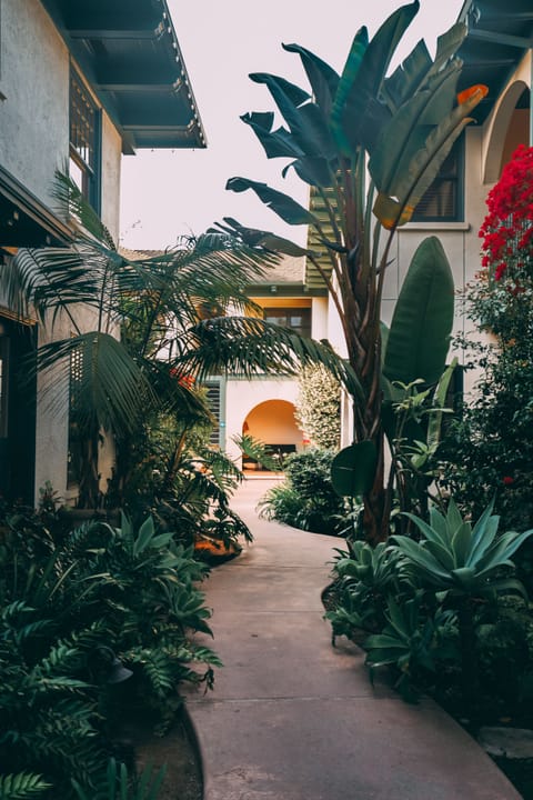 Room, 1 King Bed, Accessible (Historic Lodge) | Egyptian cotton sheets, premium bedding, in-room safe