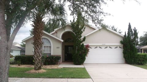 Orange Tree BHL16009