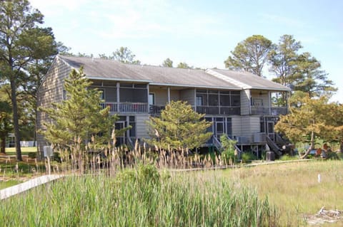 Nestled by the Wetlands