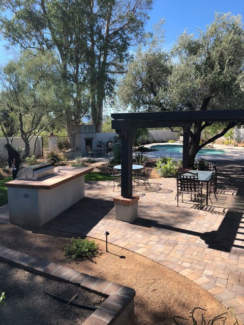 Outdoor dining under wooden pergola and olive tree near bar and grill 
