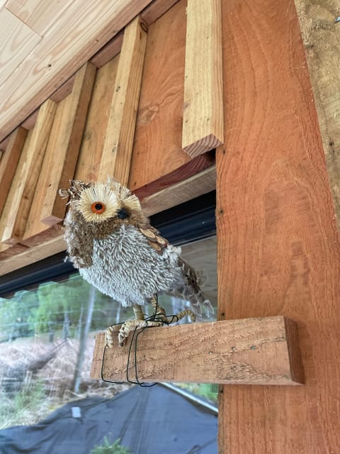 Owl be looking out to greet you!