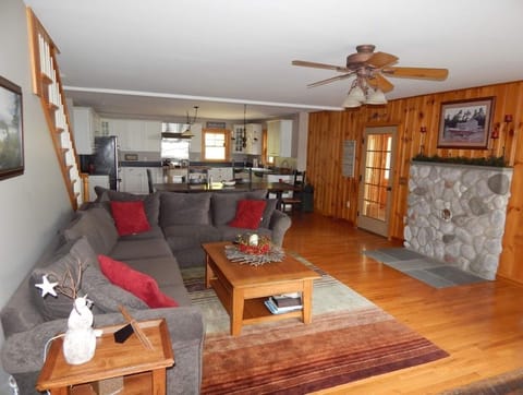 Family room and kitchen