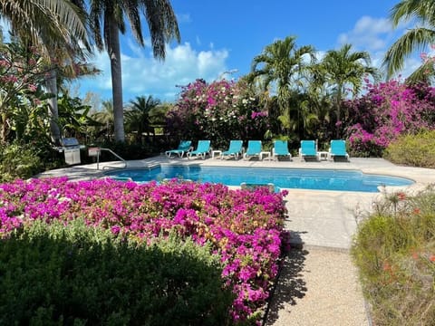 How about a morning lap in the tropical garden pool?