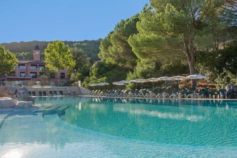 The pool area from above, surrounded by the oak and pine of the Domaine du Rouret grounds.